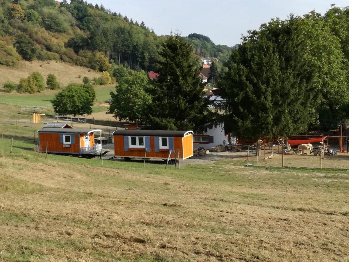 Zuruck Zur Natur - Urlaub Im Zirkuswagen, Sommeratelier Oder Schindelwagen Adenbach Exterior foto