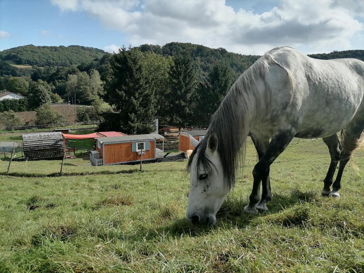 Zuruck Zur Natur - Urlaub Im Zirkuswagen, Sommeratelier Oder Schindelwagen Adenbach Exterior foto