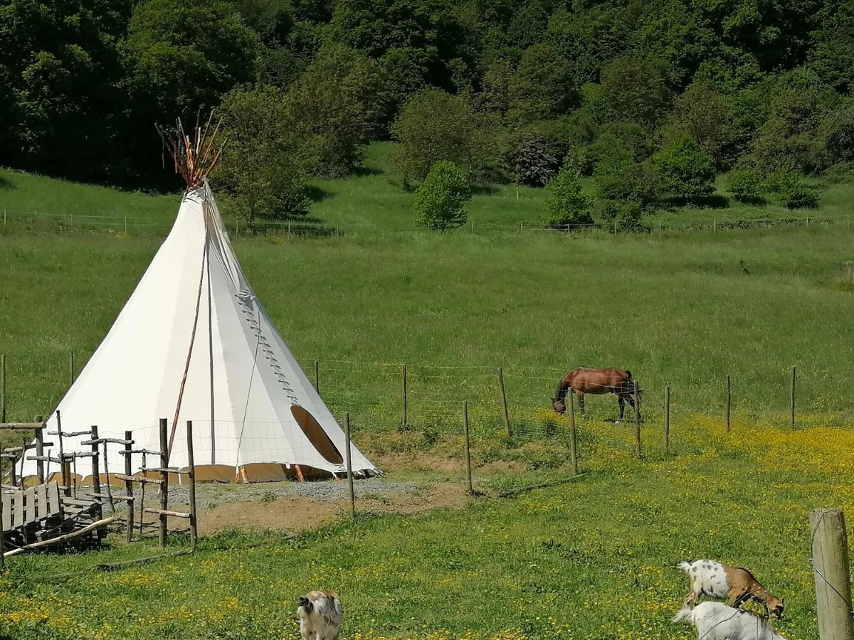 Zuruck Zur Natur - Urlaub Im Zirkuswagen, Sommeratelier Oder Schindelwagen Adenbach Exterior foto