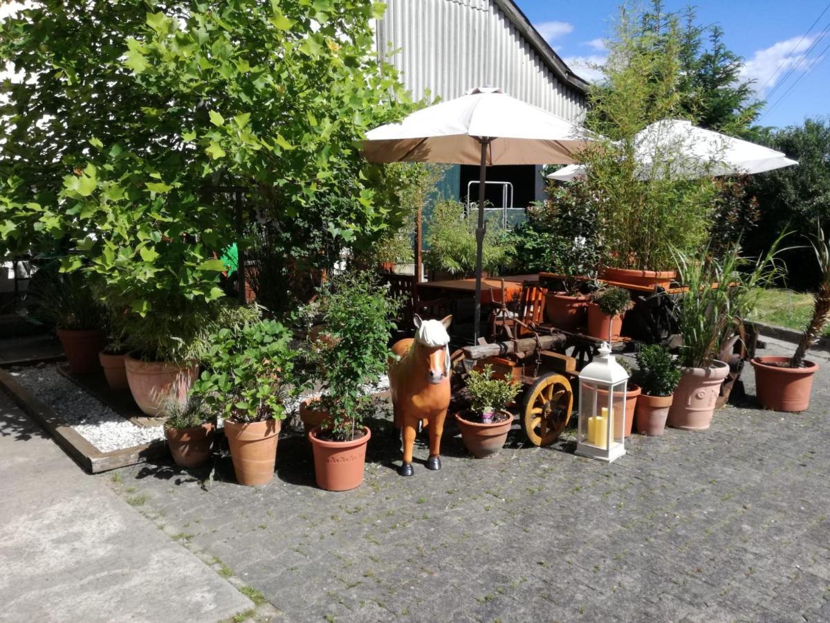 Zuruck Zur Natur - Urlaub Im Zirkuswagen, Sommeratelier Oder Schindelwagen Adenbach Exterior foto